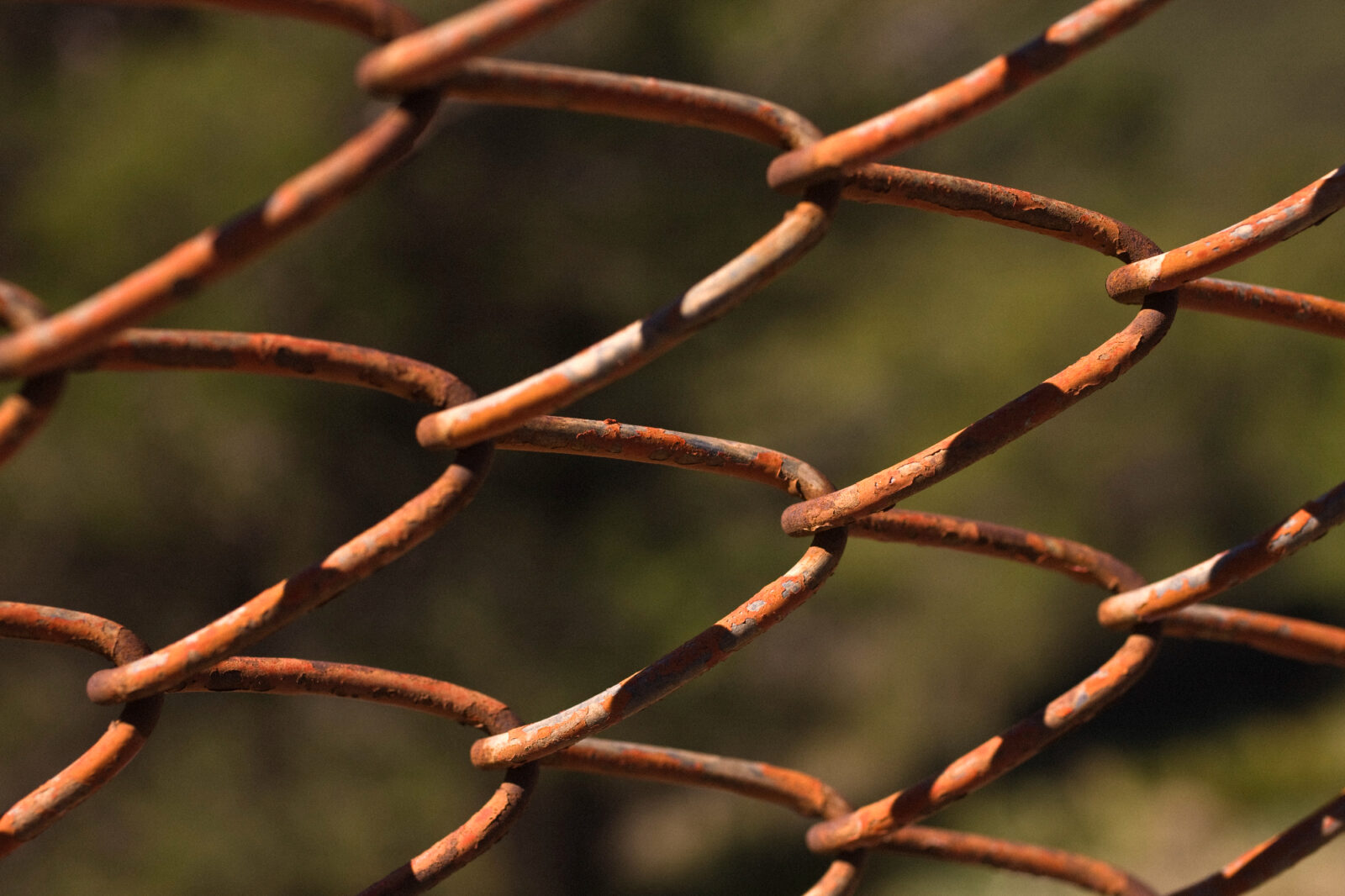 Mrežne ograje kot ena najbolj logičnih rešitev